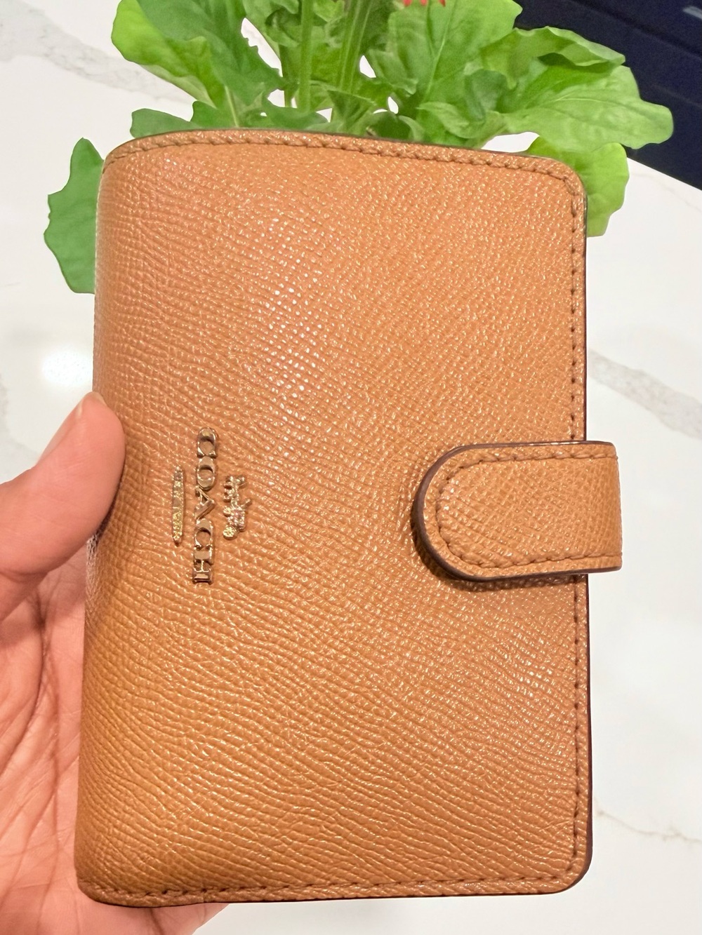 COACH Medium Corner Zip Wallet